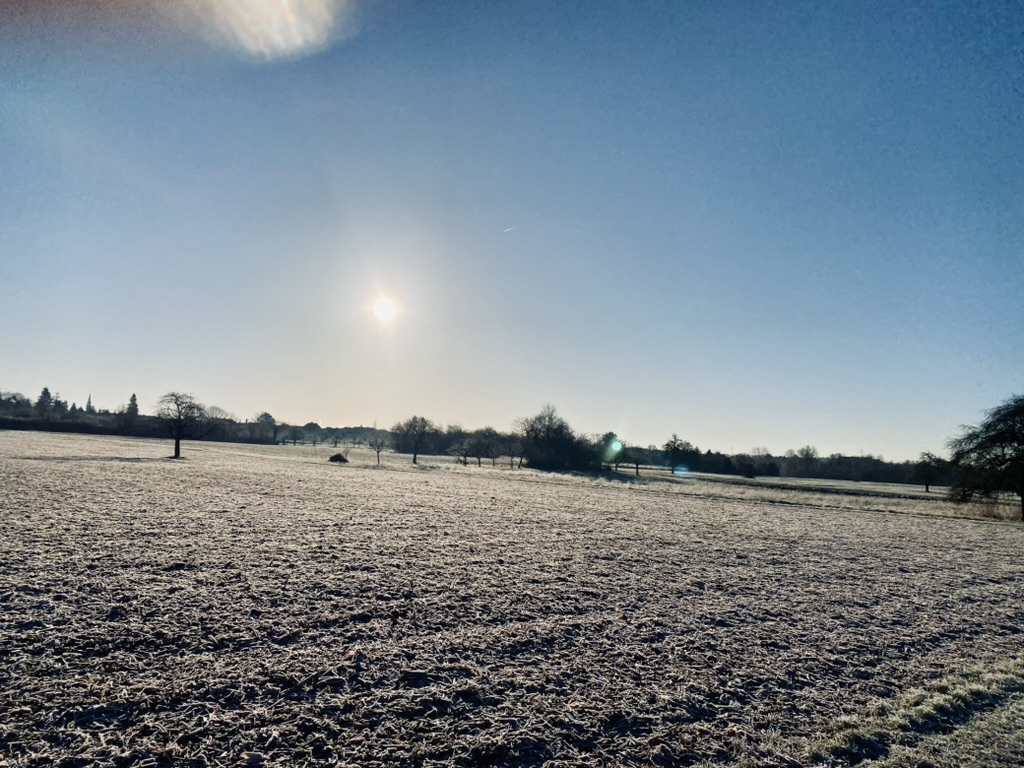 Winter 2024